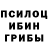 Галлюциногенные грибы мухоморы Pit On