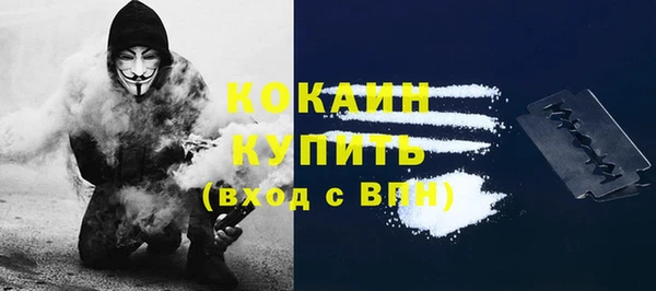 прущие грибы Иннополис