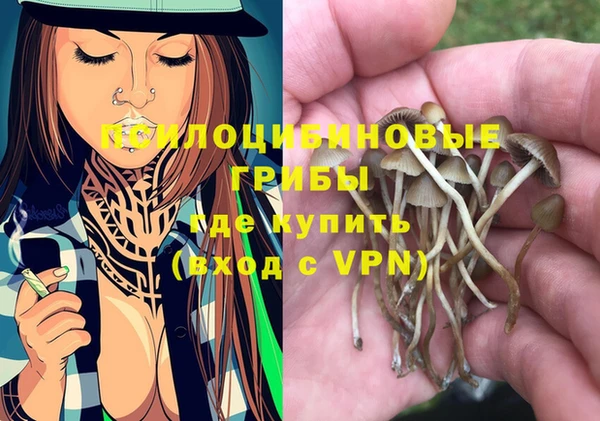 эйфоретик Зеленодольск