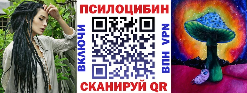 Купить  Гаврилов-Ям  Галлюциногенные грибы Psilocybe 